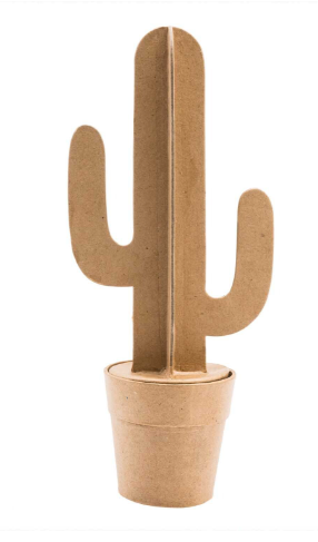 Woestijncactusdoos, klein